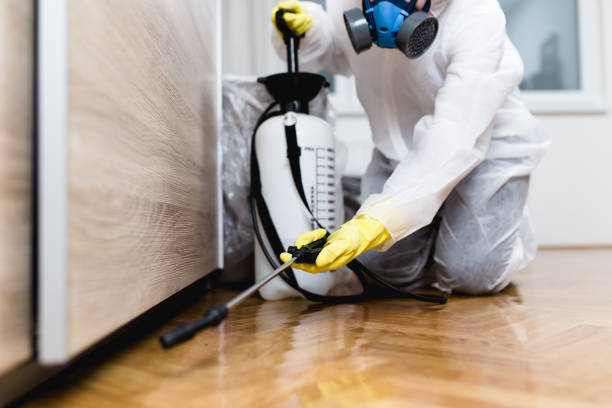 Best Insect Control  in Troy, TX