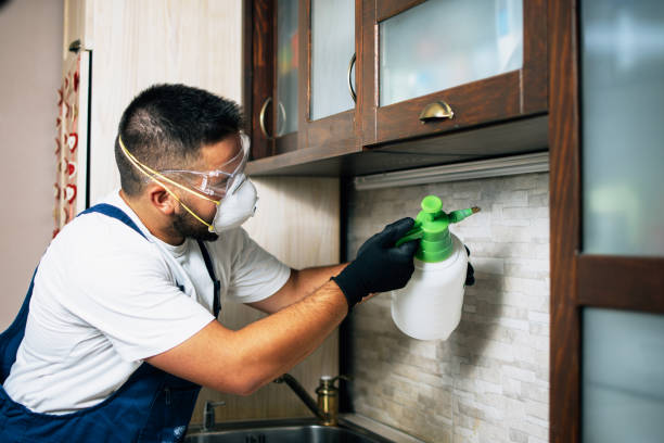 Best Wildlife Control Services  in Troy, TX