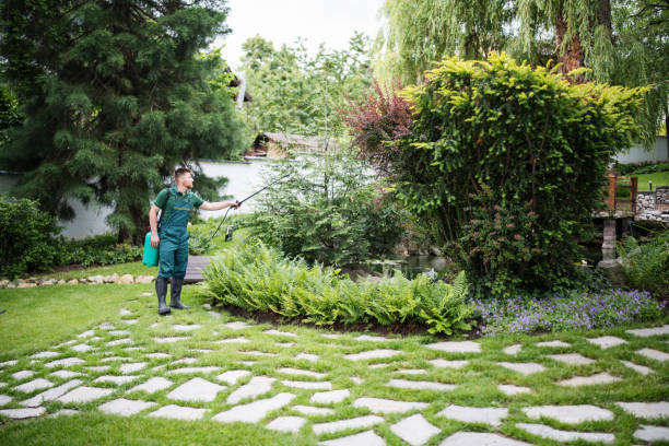 Best Affordable Pest Control Services  in Troy, TX