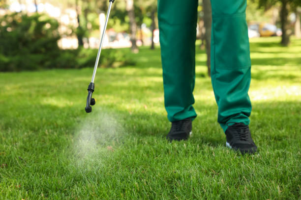 Best Pest Control Treatment  in Troy, TX