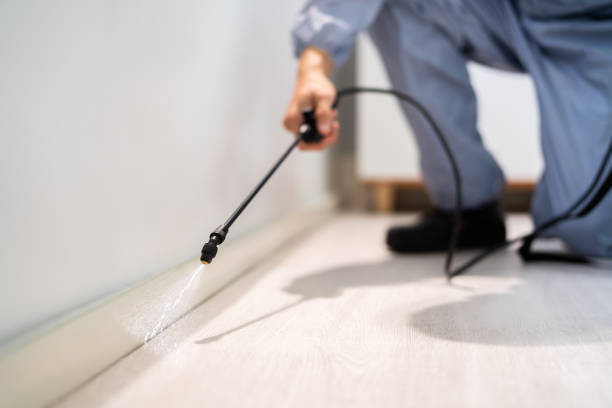Pest Control Cost in Troy, TX