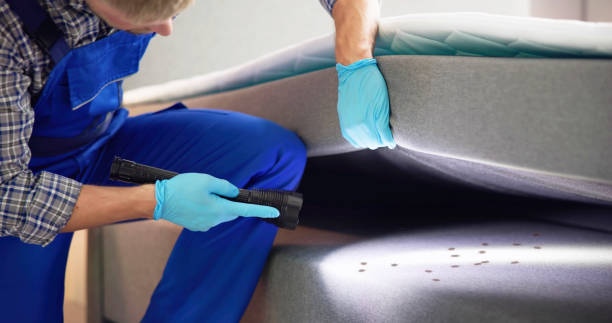 Best Pest Control Treatment  in Troy, TX