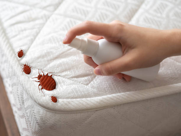 Best Exterminator Services  in Troy, TX