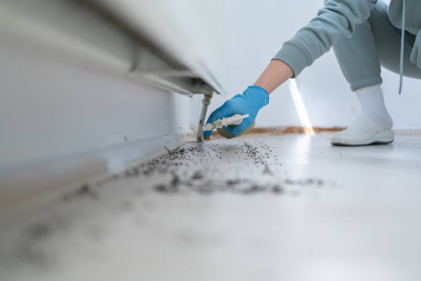 Best Pest Inspection Near Me  in Troy, TX